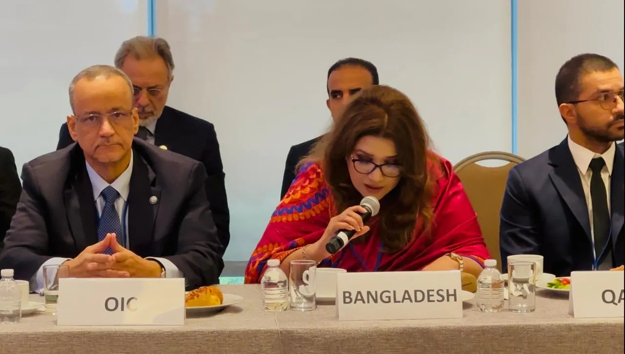 সংঘাত সহিংসতায় রূপ নেওয়ার আগেই মধ্যস্থতায় বিনিয়োগের আহ্বান বাংলাদেশের