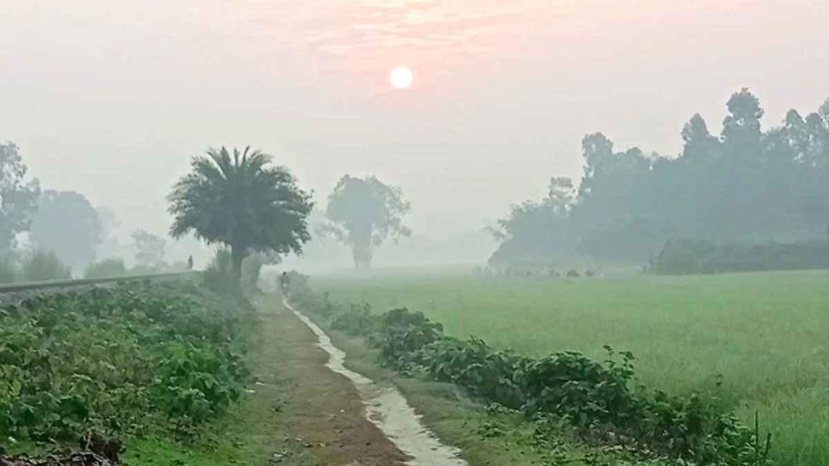 দিনাজপুরে শীতের অভিষেক প্রকৃতি পরছে 'কুয়াশার চাদর'