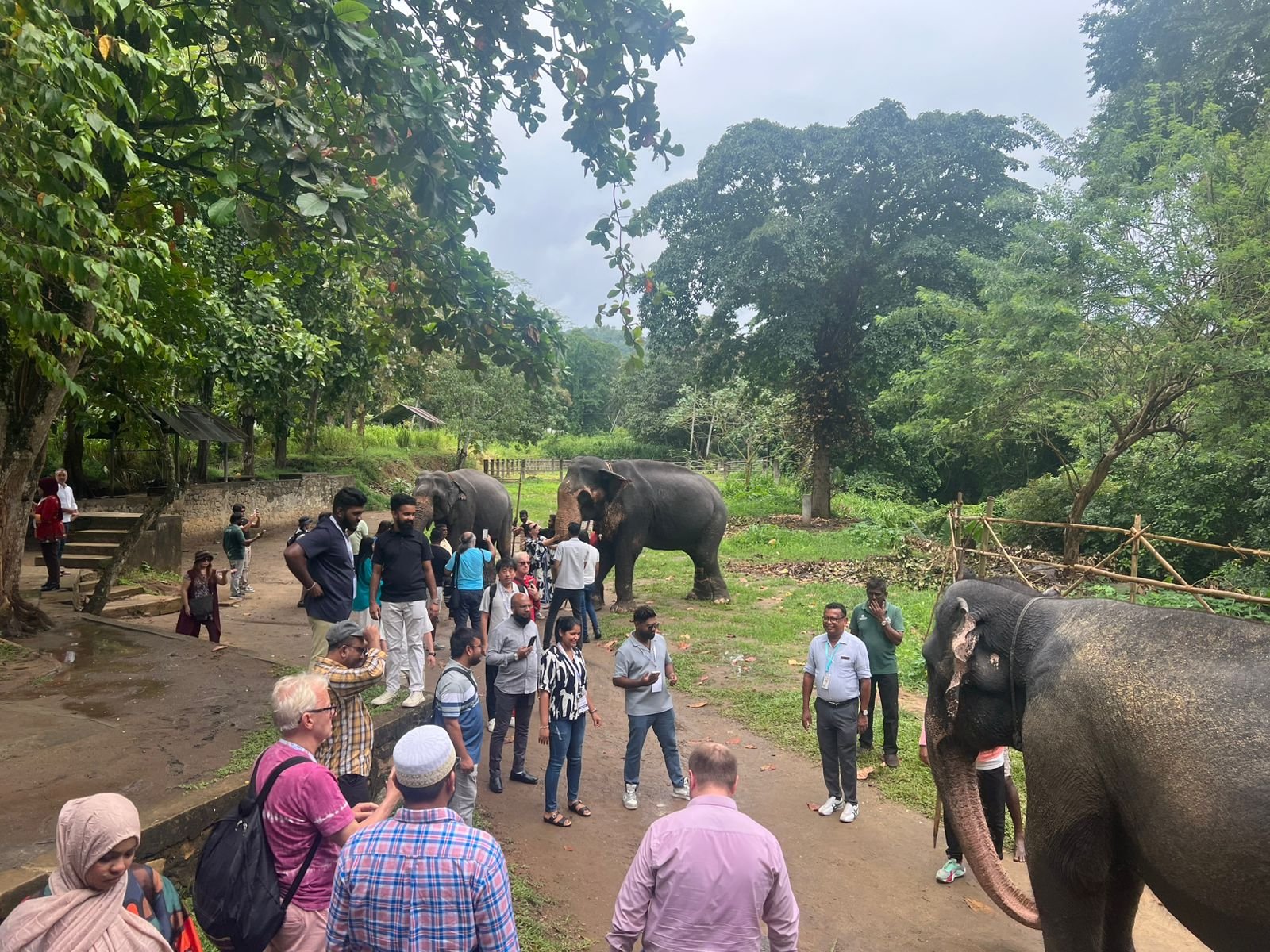 শ্রীলঙ্কা MICE Expo’র ফ্যাম ট্যুরে অতিথিদের নিয়ে মিলেনিয়াম এলিফ্যান্ট ফাউন্ডেশন পরিদর্শন