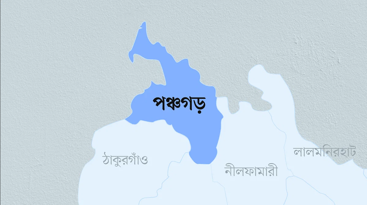 পঞ্চগড়ের তেঁতুলিয়ায় পাগলা কুকুরের আতংক ১০টি গবাদি পশুসহ ৪ জন ব্যক্তি কুকুরের কামড়ে আক্রান্ত